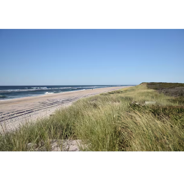 Barrett-Beach_DDE58FC7-BA2C-963A-4F56ED10F3FF159B-dde58f43c0673ad_dde5927d-e89b-1d4f-b66b79d6705cb61c.avif