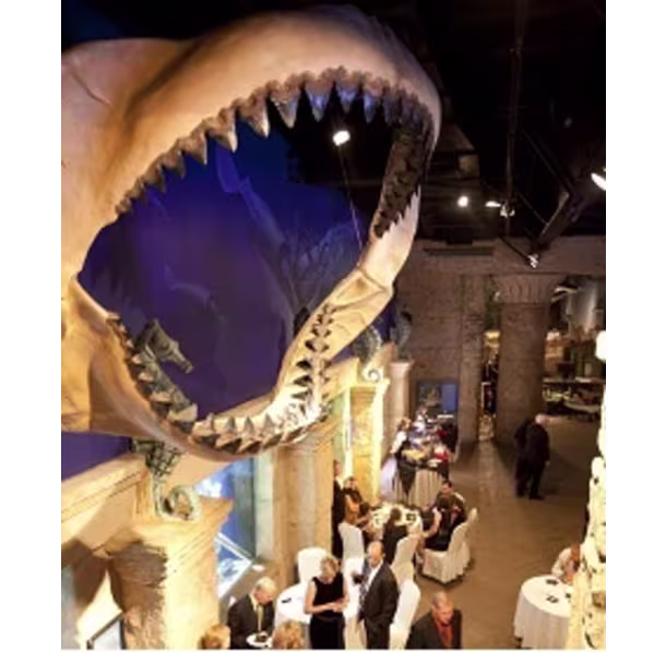 Aquarium-Cocktail_AA0E0D3A-5269-49D4-A6A0FCCC82ACC328_4db16123-0c87-42ea-bb8c2c3682ae39db.avif