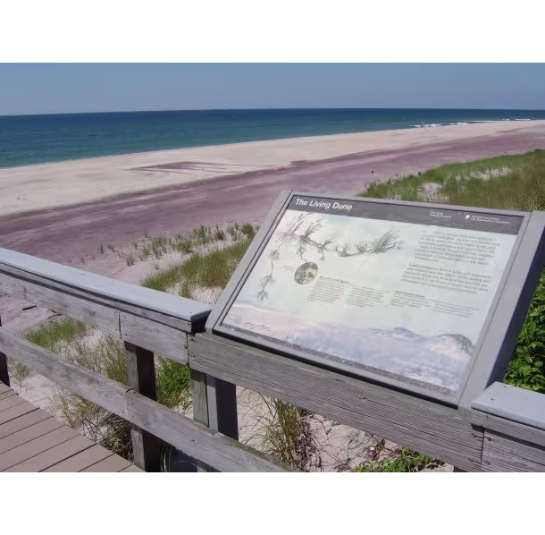 126_259_Fire-island-National-Seashore_faf763bc-5056-b3a8-49d3d4ecc3671069.avif