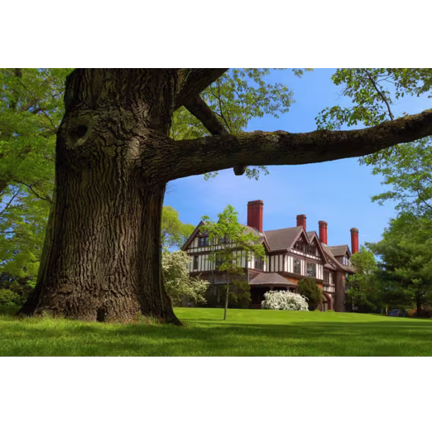 manor-houseatBayardCuttingArboretum_0C07F92E-B8A4-FB3B-26D3DA5434FE40F5-0c07f8ccaa5596e_0c07fb36-0248-89b2-b4d0ee8f17d14247.avif