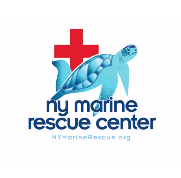 Color-NY-Marine-Center-logo-FINAL-2019_C09E286F-A7F0-42ED-984007DDC0B9F8B0_54a793b9-9a00-4f0b-bafa9b6f794851fb.avif