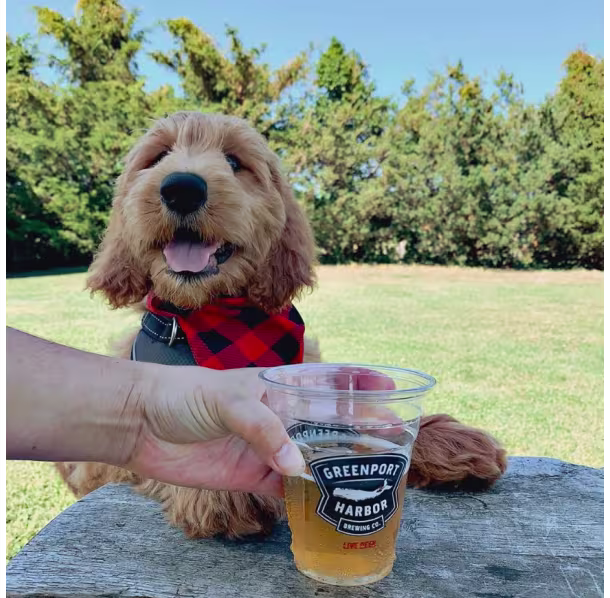 greenport-harbor-brewing-dog-pet-friendly_A42B8737-E68A-073A-D8A7A5CF5074DF25-a42b82dda1e854f_a42b8fe2-0d65-e66a-a837de3e34e1657b.avif