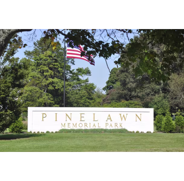 Pinelawn_71060E65-B887-850C-27B25914AFD40FF4-71060d8a9c0f7c9_7106184b-90ff-00af-3644a5db8c513b02.avif