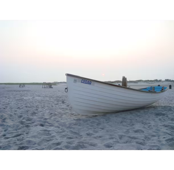 5301_392_Cedar2009-beach-kmatejka-009_fa9fecf3-5056-b3a8-493ad3045baa5223.avif
